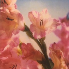 romanticise life spring edition