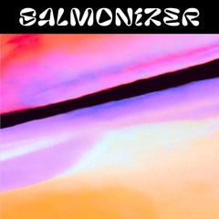 Salmonizer