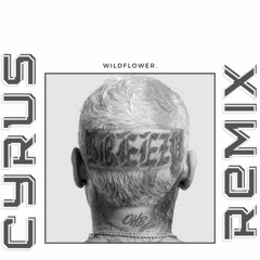 WildFlower. (Addicted Remix)