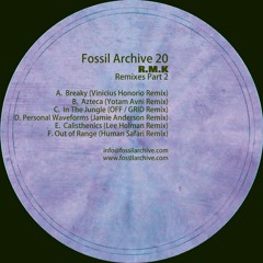R.M.K - Breaky (Vinicius Honorio Rework) - Fossil Archive