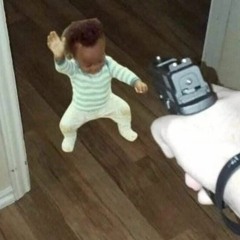 Baby Circuit