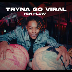 YSN Flow - Tryna Go Viral (Official Music Video)