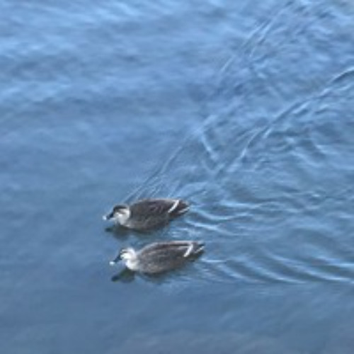 Water Pattern (Sine Wave Version)