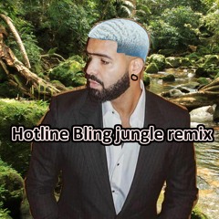 Drake - Hotline Bling (Inspectah Booty Amen Remix)
