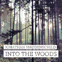 Jonathan Haudenschild - Into the Woods (Original Mix)