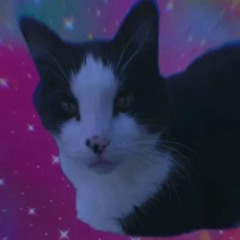 lord max seeks vengeance