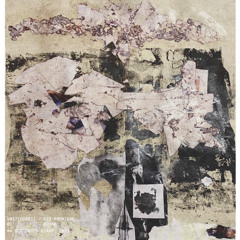 Premiere: vn17- constrictor (DD-001)