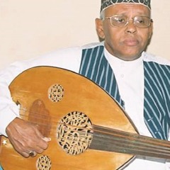 محمد مرشد ناجي - قطفت لك