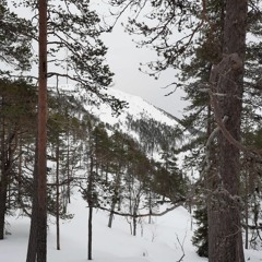 Konetekniikka osana ilmastonmuutoksen torjuntaa