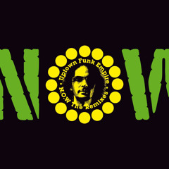 N.O.W. (Patchworks Rmx) [feat. Juan Rozoff]