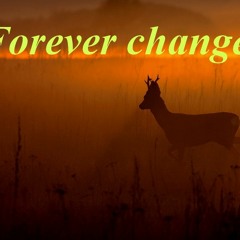 Forever Change
