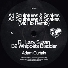 Adam Curtain - Sculptures & Snakes EP (LIFS001) (Clips)