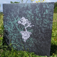 Inner Terrain - Machiavellian