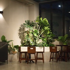 Đông Nam Bộ (cover)