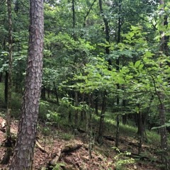 SPLURGE / BEATBYJEFF /  TYPE BEAT