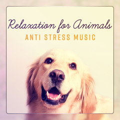 Stretching Music