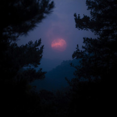 Yūgure - Lorenzo Petrizzo (2025)