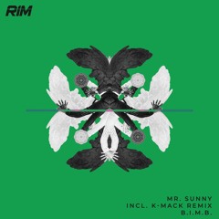 Mr.Sunny - B.I.M.B.  [RIM] // Tech House Premiere