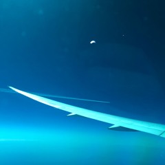 wanderings_20250110