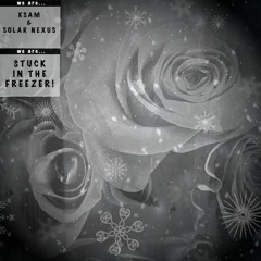 STUCK IN THE FREEZER! Ft. Stxrmxn (PROD - SOLAR NEXUS)