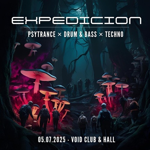 Live @ Expedicion 21 at Void Club