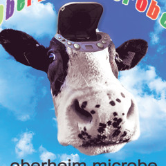 Dans La Voiture Je Cours Sur Les Fils Electriques