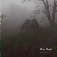 Blue Ghost- Guardian Exchange