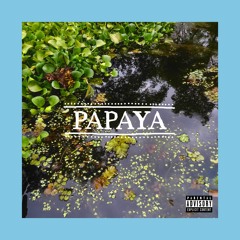 PVAEL -- PAPAYA (Original Mix)
