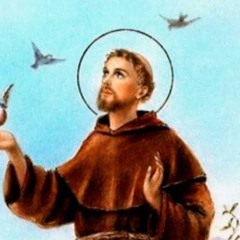 O dom da ciência em s. Francisco de Assis