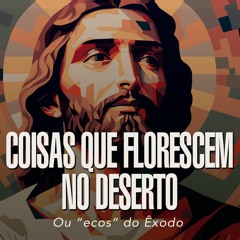 251. O ministério de João Batista (Mc 1:2-13) - André Gava