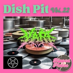 yari - dish pit #022