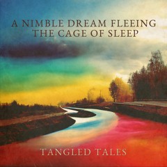 A Nimble Dream Fleeing the Cage of Sleep