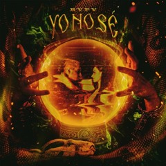 Rvfv - Yo No Se ( Dj Rogosa Tribal House Remix )