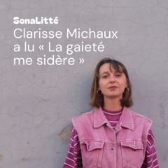 Clarisse Michaux - La gaieté me sidère #329