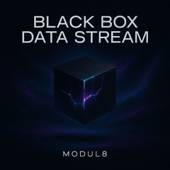 Black Box Data Stream