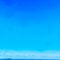 Motion