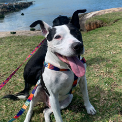 SET | JULHO |  XODÓ