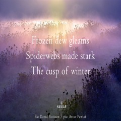 halF spiderweB [naviarhaiku460]
