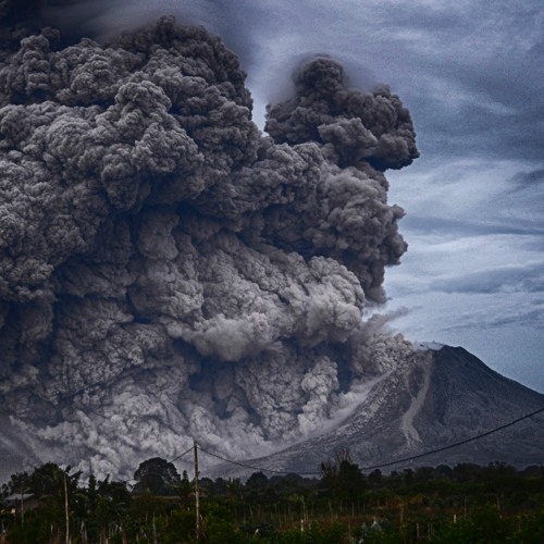 Claymation Microscope