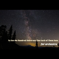 To See the Hundred Universes That Each of Them Sees for orchestra