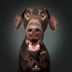 Retro Jump Classics #1 - 2021