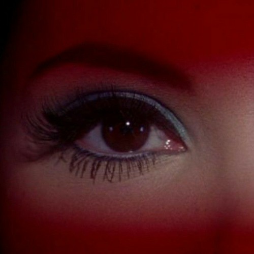 the love witch