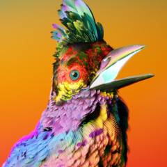 Flume - Say nothing Remix