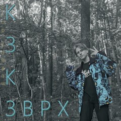 Козак Завірюха