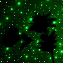 The Garden Of Others (single)