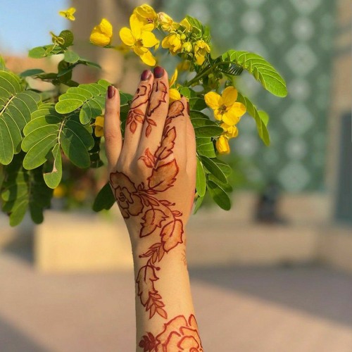 Ali Rameez  - Kairiah kalaa aimavey ufaa.mp3