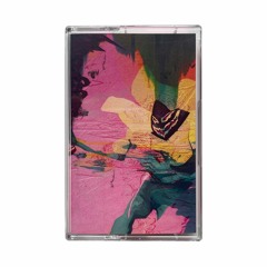 Babak Ahteshamipour – Mind Flaying Flavored Flails (JS017)