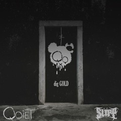 Qoiet - dig GOLD (Slipp Remix)
