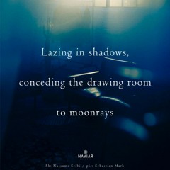 moonrays [naviarhaiku504]