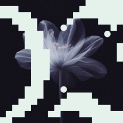 PREMIERE: Island Hill & Of Norway - In My Mind (Ivory Extended Reflection) [Flores]